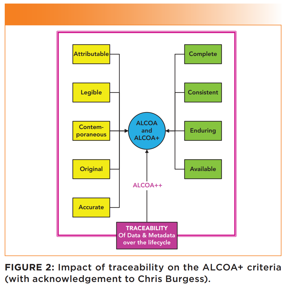 ALCOA DI 2024 The Passion Post
